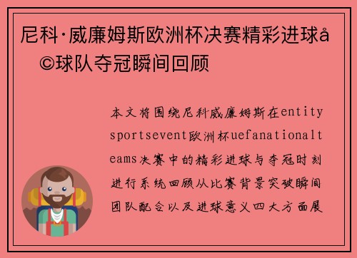 尼科·威廉姆斯欧洲杯决赛精彩进球助球队夺冠瞬间回顾
